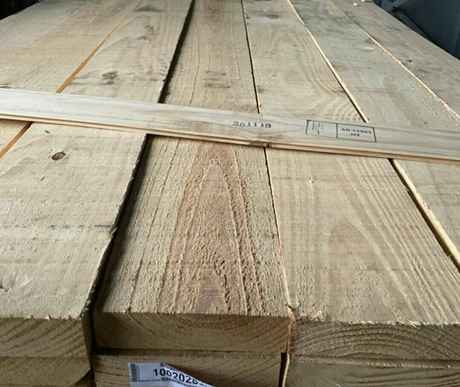 和县阿根廷松木